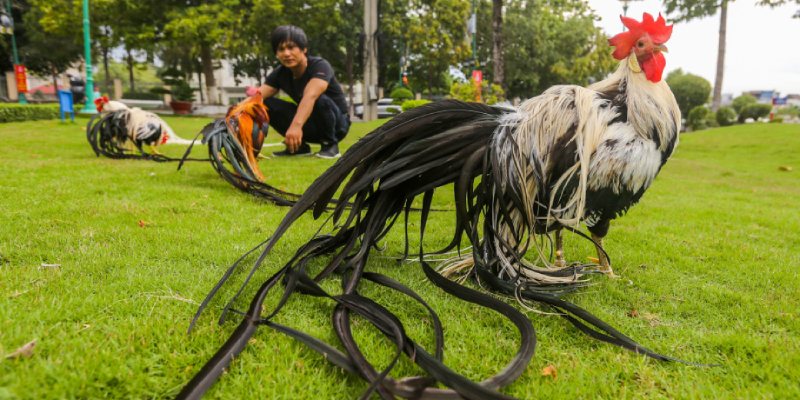 Lưu ý bạn không nên bỏ qua để mua sắm thuận tiện hơn