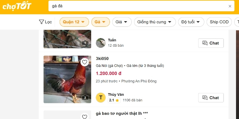 Thông tin tại Chợ Tốt gà đá Quận 12 được bố trí rõ ràng