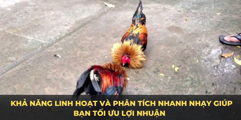 Khả năng linh hoạt và phân tích nhanh nhạy giúp bạn tối ưu lợi nhuận 