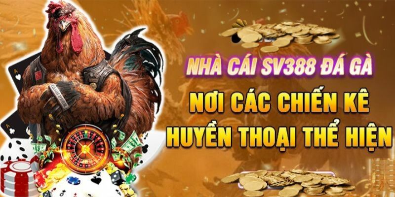 Giới thiệu nhà cái đá gà SV388 có ý nghĩa như thế nào