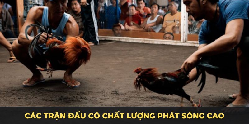 Các trận đấu có chất lượng phát sóng cao